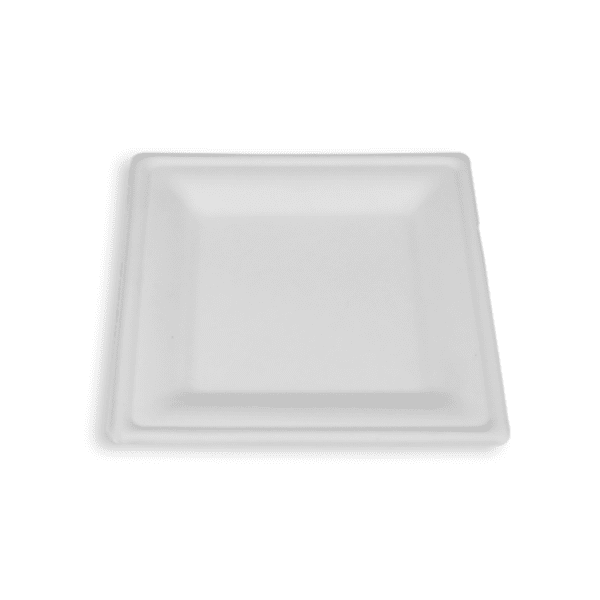 Biodegradable bagasse square plate