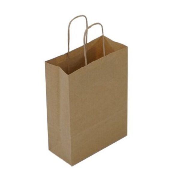 Brown paper bag with Twisted Handles