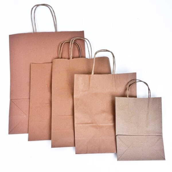 Brown paper bag with Twisted Handles - Image 2